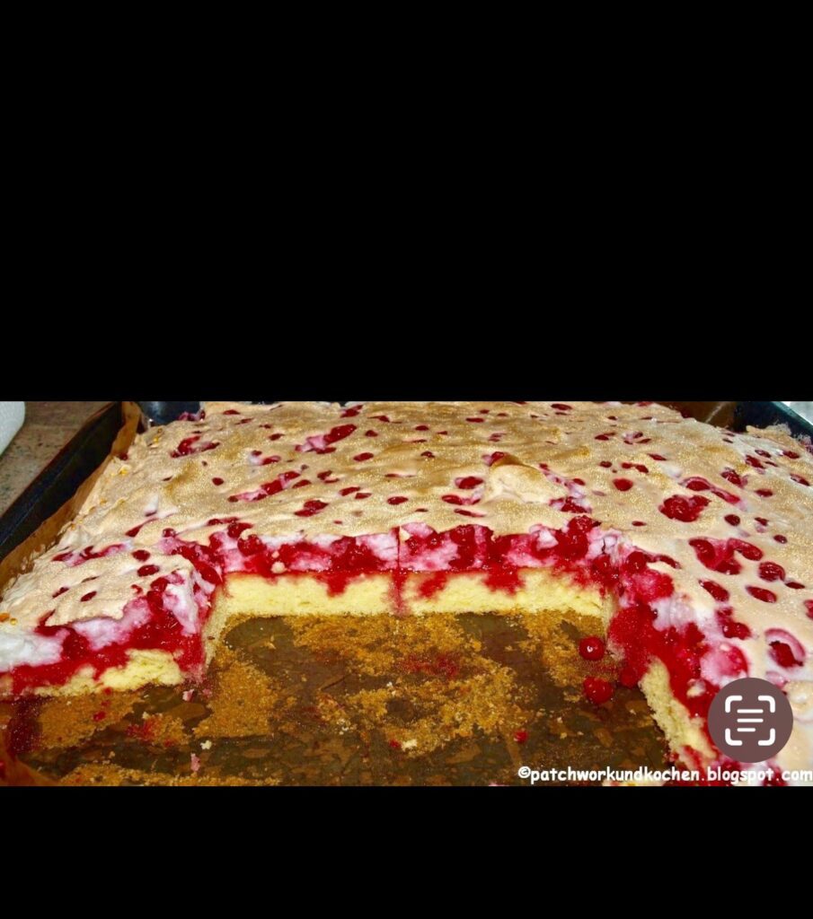 4e70a4d1c64d8c6bac072c3bd1a26cd7 ribiselkuchen heidi 1